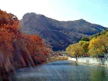 新澳天天开奖资料大全旅游团，我要小说